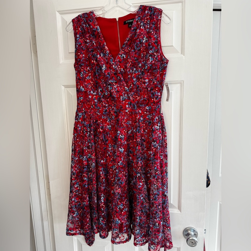 Roz & Ali Vibrant Red and Blue Floral Midi Dress